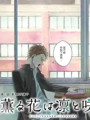 声浪计划 音乐综艺全集免费看